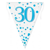 Bunting 30th Birthday Spark Fizz Blue 39m