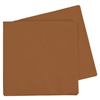 Five Star Napkins Lunch 2ply Acorn 40 pack