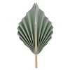 Five Star Paper Palm Leaf 15CM Eucalyptus 2PK