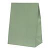 Five Star Paper Party Bag Eucalyptus 10PK