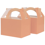 Five Star Paper Little Lunch Box Peach 10PK