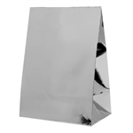 Five Star Paper Party Bag Metallic Silver 10PK