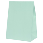 Five Star Paper Party Bag Mint Green 10PK